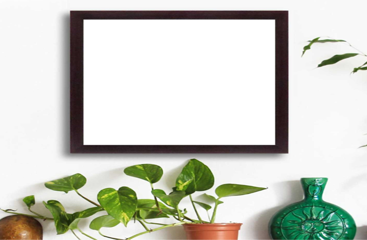 Eco-Friendly Products Display