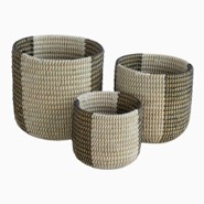 Kans Grass product 1